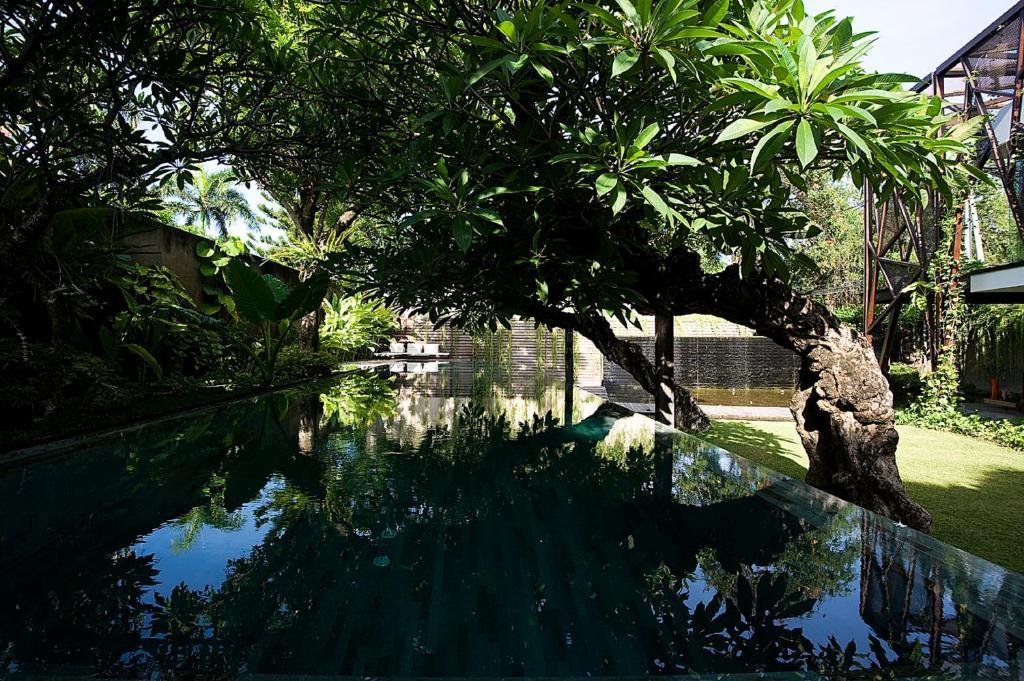 Ziva A Residence Seminyak Eksteriør billede