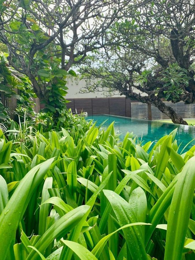 Ziva A Residence Seminyak Eksteriør billede