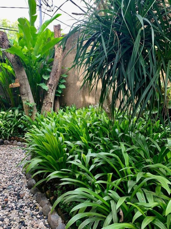 Ziva A Residence Seminyak Eksteriør billede